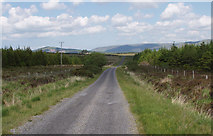 G4016 : The Sligo Way by Liz McCabe