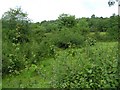 Crownhall Townland