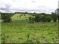 Drumhirk Townland