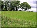 Drumsil Townland