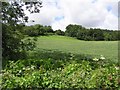 Devenish Townland