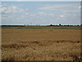 Fields towards Rainsbutt Farm