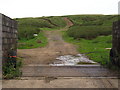 Cattle Grid onto Cefn Crib