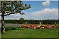 Flowerbed at Clough