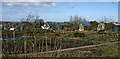 Revidge Allotments