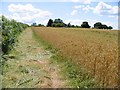 Field margin parallel to Hoath Road