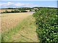 Looking NE along field boundary parallel with Hoath Road