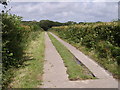 Farm road to Braddon