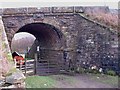 NY6103 : Cattle Creep under the railway line near Tebay by pete simpson