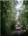 Lime Avenue Spinney Lane Livermere