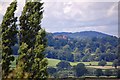 Powis Castle in the distance