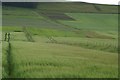 Fields near Greenmyre