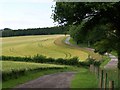 SU3527 : Winding lane at Lower Eldon Farm by David Martin