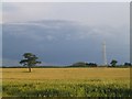 Fields beyond Aswarby Thorns