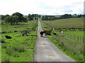 NY8479 : Pastures below Woodpark Farm by Mike Quinn