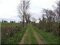 SP7057 : Green lane near Hill Farm, Kislingbury by Jonathan Billinger