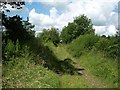 Overgrown drove near Totnell Corner