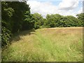 Field edge above Chellow Dean, Allerton