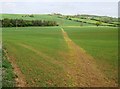 Footpath across England