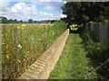 Cookham: Flood defence wall