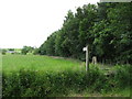 Footpath to Slaley