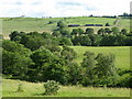 NY8379 : Pastures and woodland near Billerley (2) by Mike Quinn