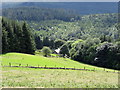 View across the fields to Gwynfynydd from the Bedd y Coedwr road