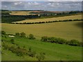 Farmland, Chilhampton