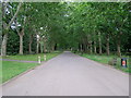 Chingford Mount Cemetery