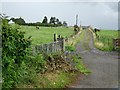 Llwyn Drain Farm, Ystradowen