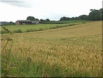 SY7596 : Barley Fields by Mike Smith