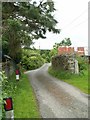 Road outside East Benoak Farm (with peacock)