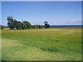 Field and boundary, Panbride