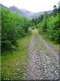 NN1367 : Forest Track in Glen Nevis by Iain Thompson