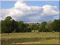 Pastures, Wylye