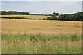 Farmland near Cranwell