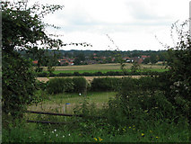 TG3507 : View to Strumpshaw from Wood Lane by Evelyn Simak