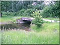 Bridge Over Afon Dulas