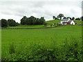 Laragh Townland