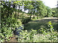 West Looe River - upstream