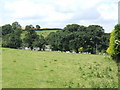 SX1658 : Pasture land at Pigscombe by Jonathan Billinger