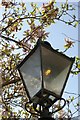 TL4457 : Gas lamp in Little St Mary's Lane by Fractal Angel