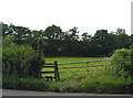 SO6924 : Stile and footpath to Gorsley by Pauline E