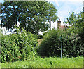 Overgrown footpath, Kilcot