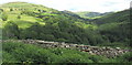 Overlooking the upper Mawddach valley