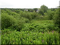 Disused millpond near Low Westwood, Golcar