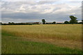 Across the fields to Crow Hill farm