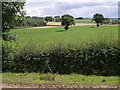 Fields beside the A303