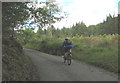 Rider on the steep hill leading to Bwlch Cwmheisian