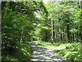 Cwmheisian road north of Dolfrwynog